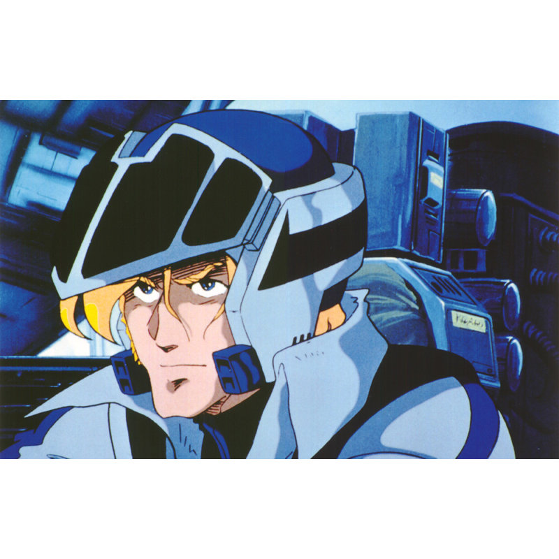 Robotech: Roy Fokker, 12" H x 18" W