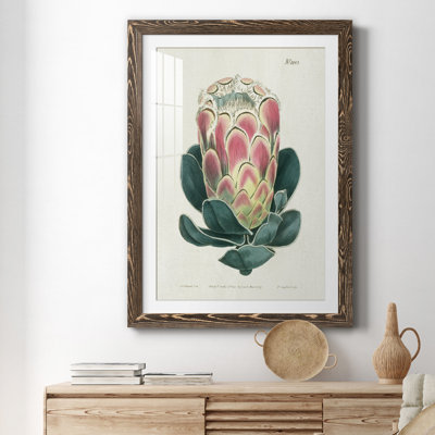 Protea N83 - Peinture encadrée