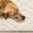 Tapis intérieur crème Dilmore-516880947
