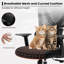 Comfy Breathable Ergonomic Task Chair With Headrest-1797174977