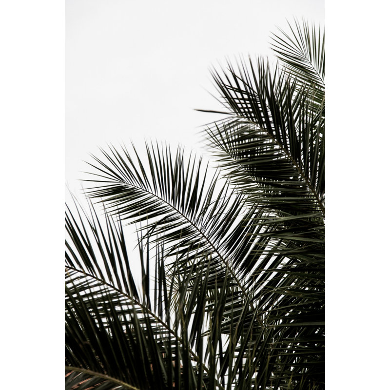 Wrapped Canvas Print, 60.96 cm H x 91.44 cm W