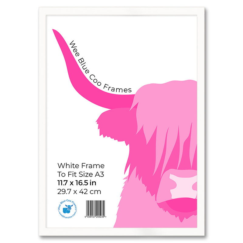 Picture Frame, 45.5cm H x 33cm W, White