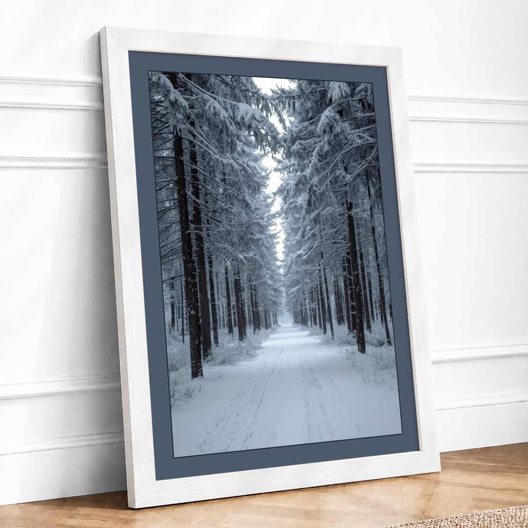 Snow-Lined Forest Path Scandinavian - Framed Print