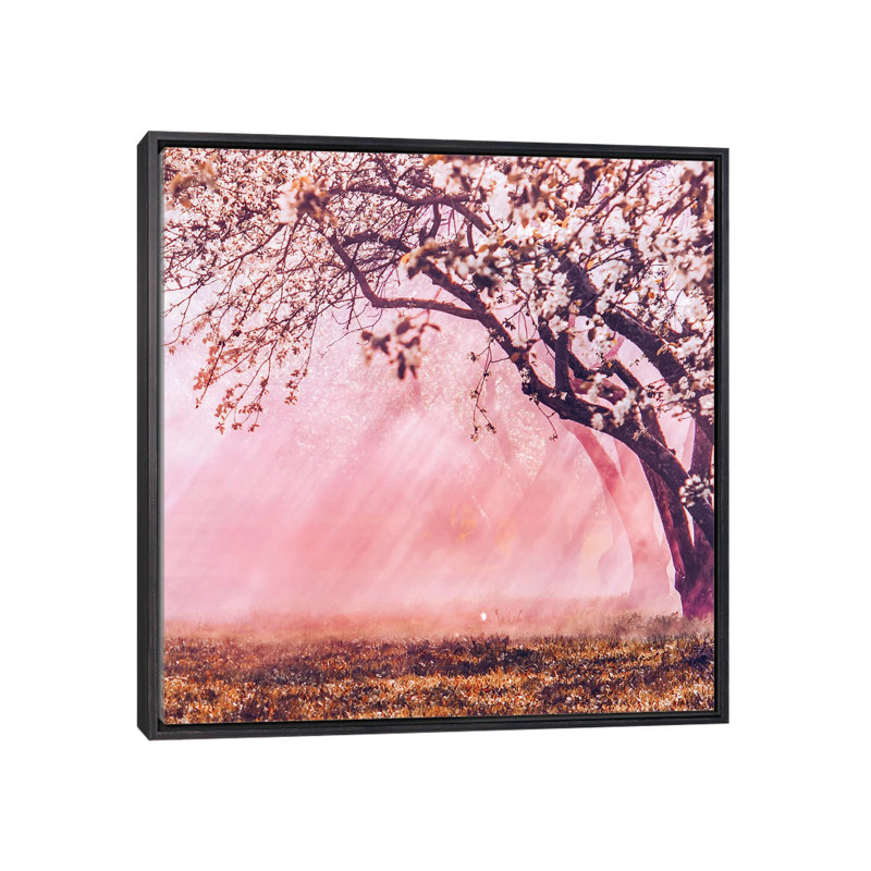 « Sunrise Blossom » par Hobopeeba-impression, H 18 po x l 18 po x 1,5 po, Pas de tapis, Toile avec cadre noir patiné
