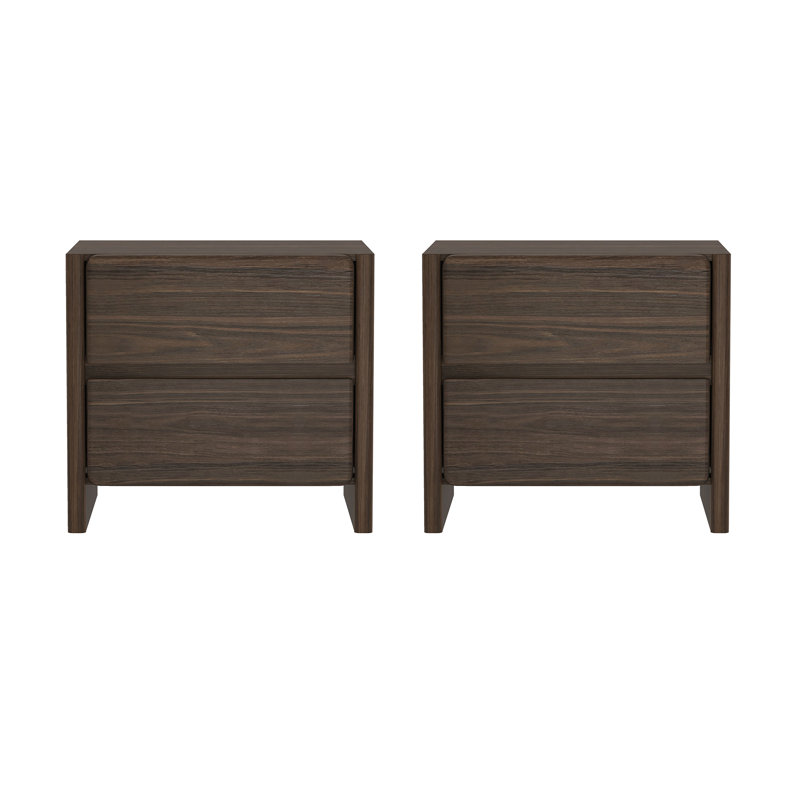 Linda 24" Modern Nightstand with 2 Drawers in Walnut Brown, Walnut Brown