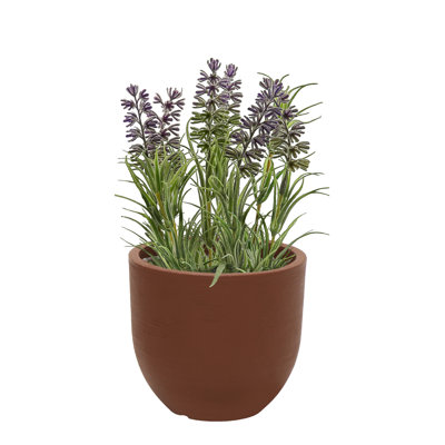 Plant Pot