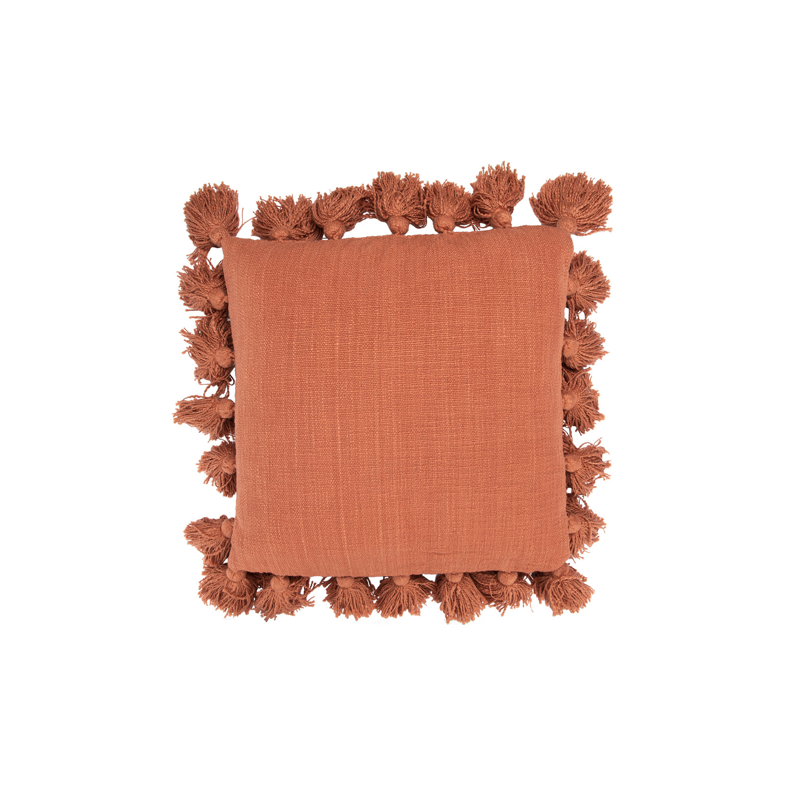 Astraeus Tassels Cotton Throw Pillow, Russet