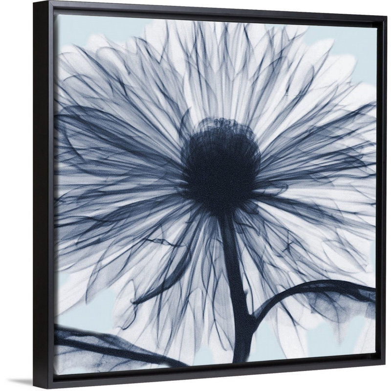 «Chrysanthemum Blues» par Albert Koetsier - reproduction d'art sur toile, Cadre noir, H 18 po x l 18 po x P 1,75 po