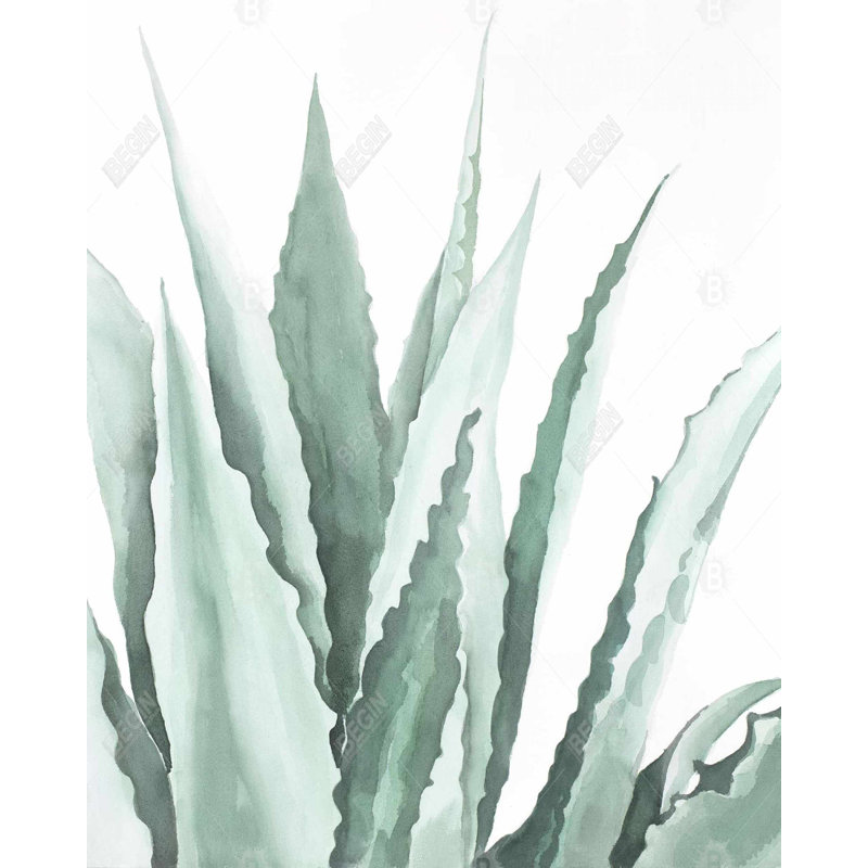 Watercolor Agave Plant - Scandinavian Office, reproduction encadrée