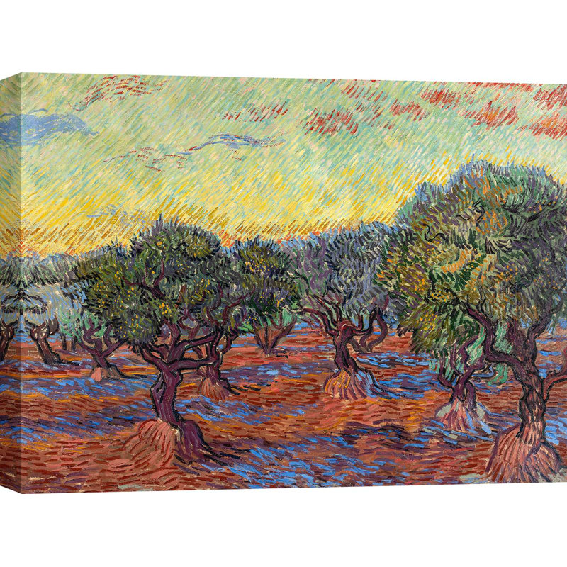 Olive Grove, Saint-Rémy by Vincent Van Gogh - Wrapped Canvas Print, 60cm H x 80cm W x 4cm D