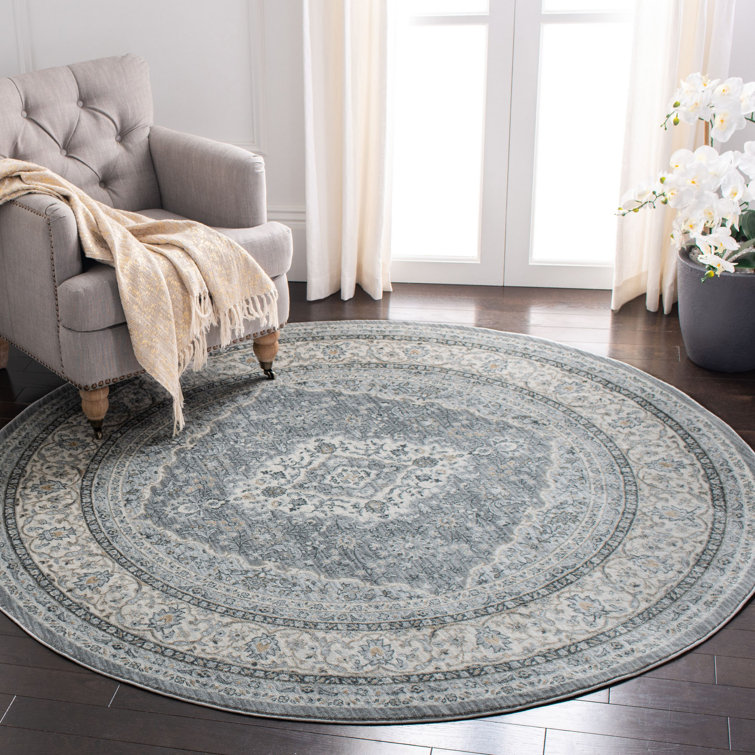 Delmer Performance Oriental Rug