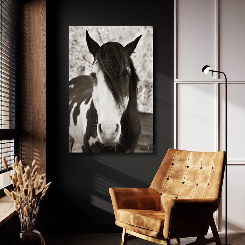 «Pale Eyed Stallion» par Traer Scott, H 36 po x l 24 po x P 0,2 po