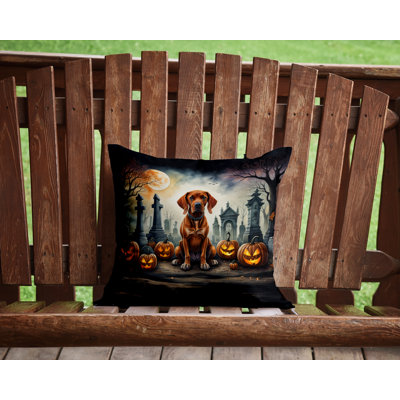 Outdoor Throw Pillow