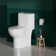 17" Comfort Height Standard Toilet，Dual Flushing Modern Elongated One Piece Toilet Glazed Surface (Seat Included), Compact Toilet for Bathroom