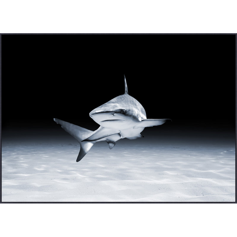 Swimming 2 Print by Mat Sanders