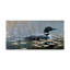 Art mural sur toile tendue - «Loon In Reeds» de Wilhelm Goebel pour décoration de salon, de chambre à coucher ou de bureau - 16 x 32-27647823