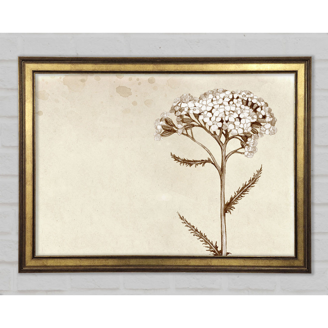 Floral Beauty Sepia - Einzelner Bilderrahmen Kunstdrucke