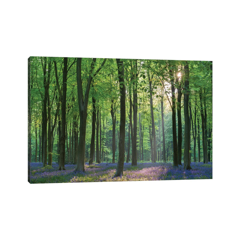 Bluebell Forest II by Adam Burton - Print on Canvas, Wrapped Canvas, 45.72cm H x 66.04cm W x 1.91cm D