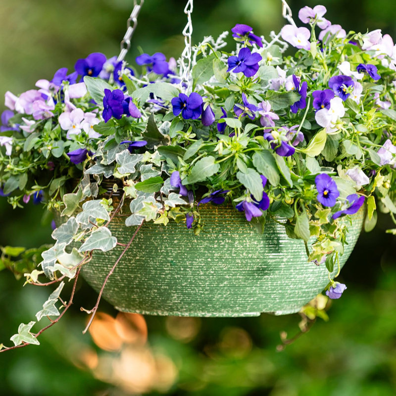 Hanging Planter