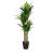 150cm Faux Dracaena Tree in Pot