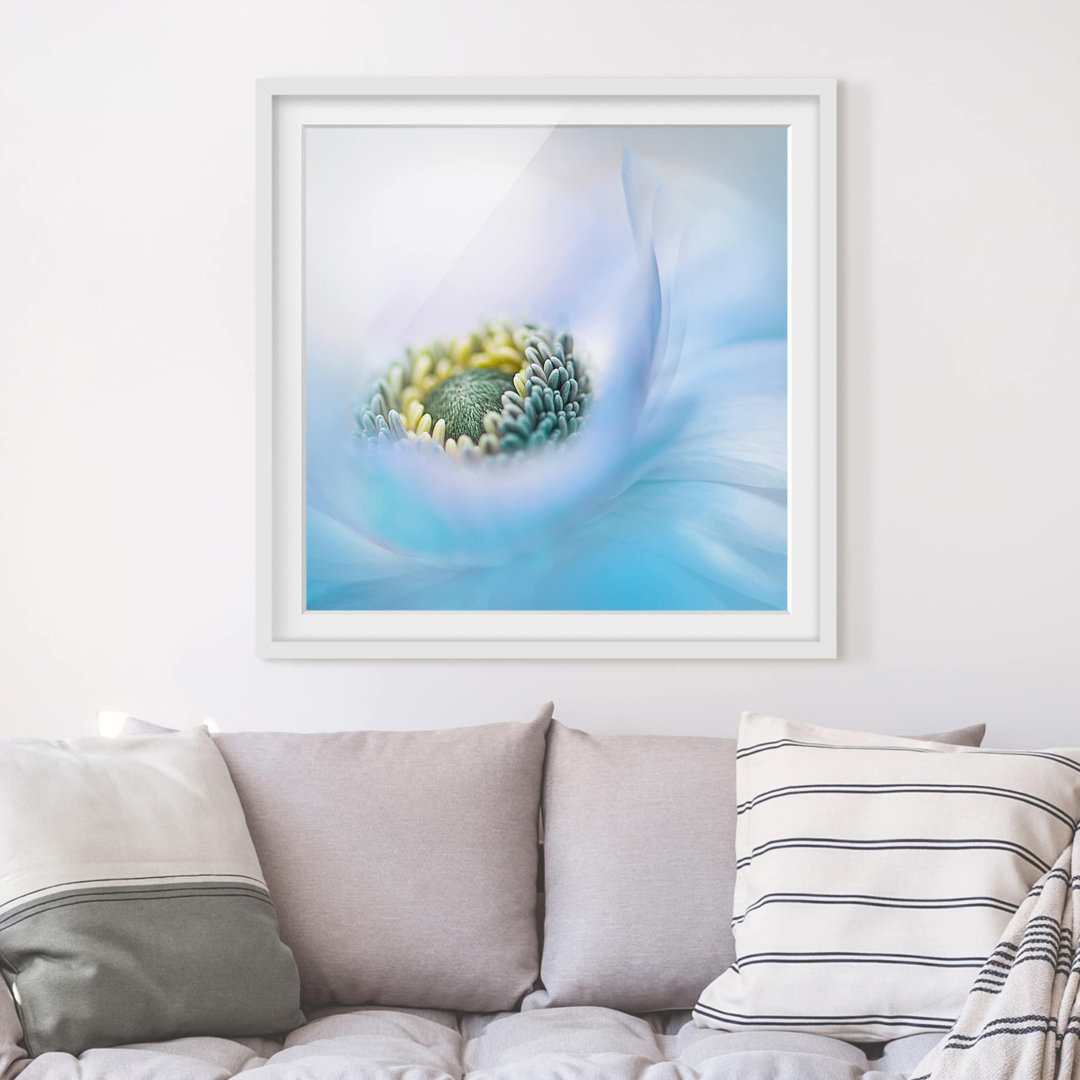 Gerahmtes Poster Anemone auf dem Fluss