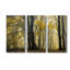 «In Love with Golden Fall», photographie sur toile tendue 3 pièces-2141945491