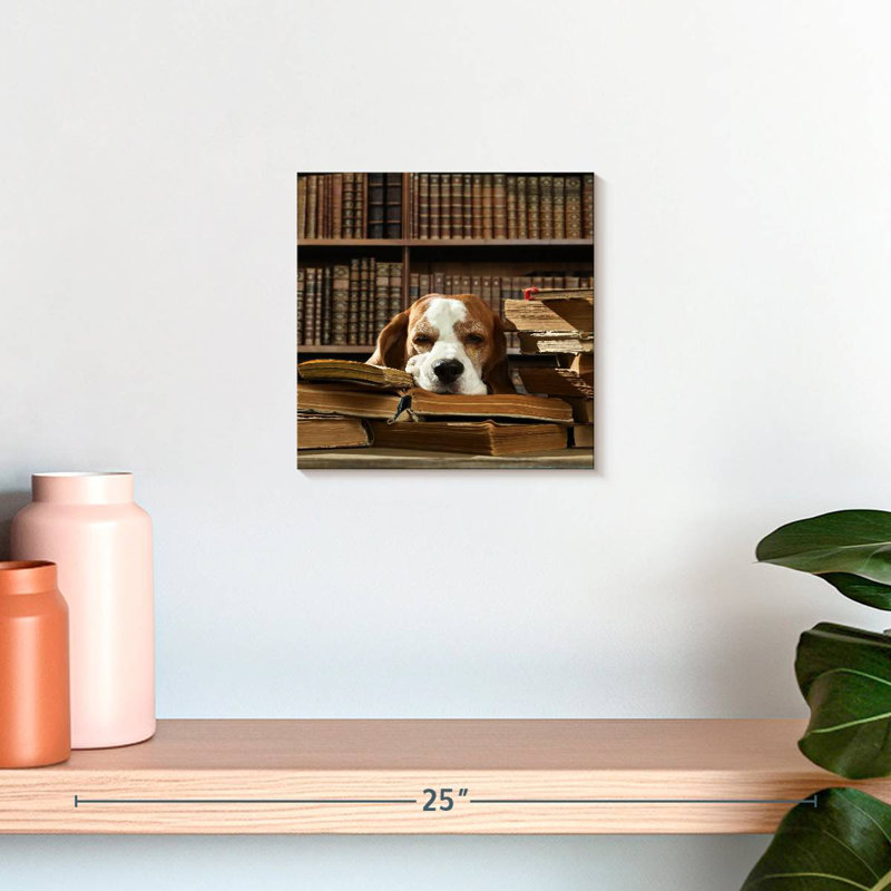 Chien et livres Brampt, H 10 po x l 10 po