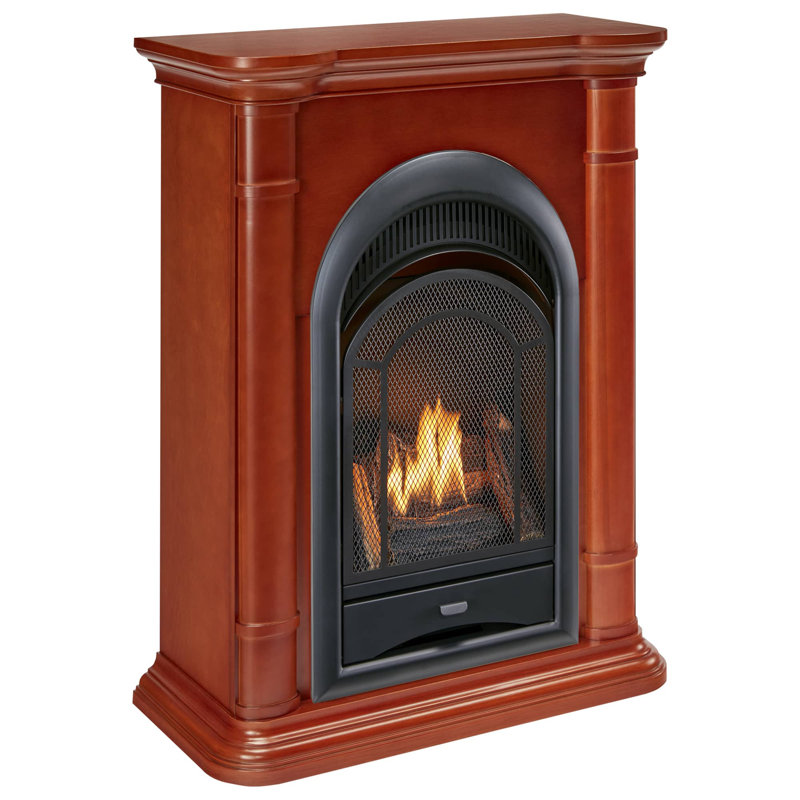 ProCom Dual Fuel Ventless Gas Fireplace System - 10,000 BTU, T-Stat Control, Apple Spice