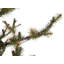 Lighted Artificial Spruce Christmas Tree-1099677730
