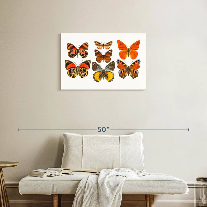 Collection Brampt de papillons oranges, H 20 po x l 30 po