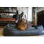 Lit pour chien Houndstooth-411679292-411679293