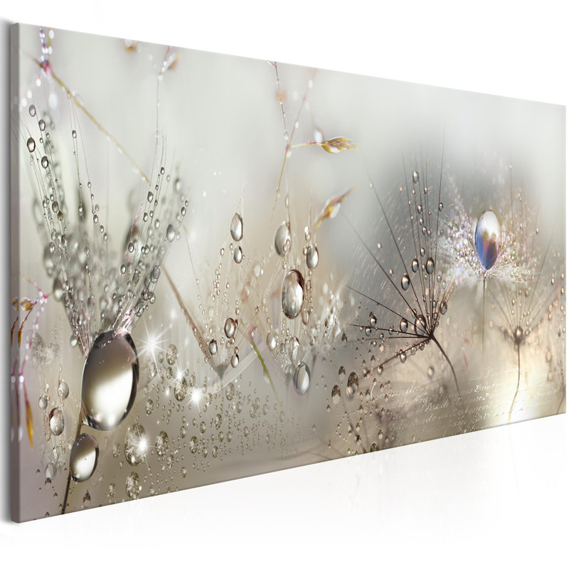 Morning Song - Photographie panoramique sur toile tendue, H 15,7 po x l 47,2 po