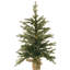 Faux Pine Tree in Burlap Pot Liner-103523012