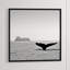 Majestic Orca' Framed Photographic Print