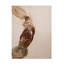Art sur toile, bolle Frederic Belaubre-103094894