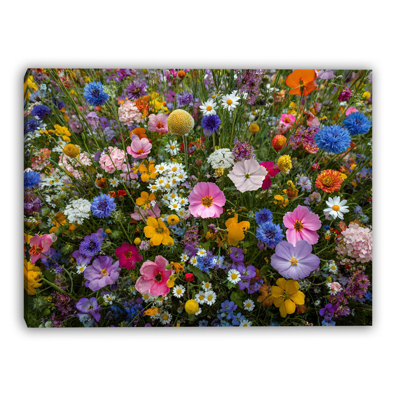 Art mural sur toile tendue Wildflower, H 12 po x l 16 po x P 1 po