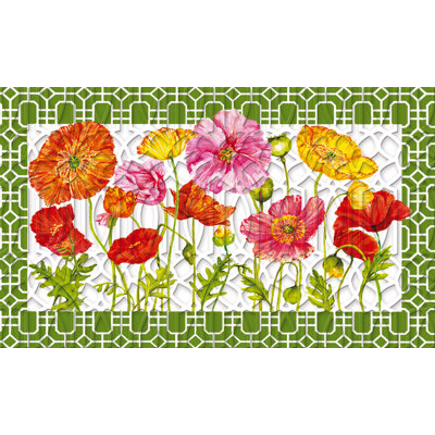Tapis de porte anti-dérapant 30" x 18" à jardin dépiléy Riviere