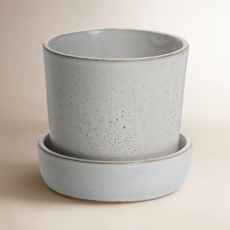 Pot à fleurs en céramique Zandra, H 5 po x l 5,25 po x P 5,25 po, Blanc cassé