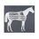 Thoroughbred Throw