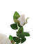 Silk Rose Arrangement-1250838354-1250838355