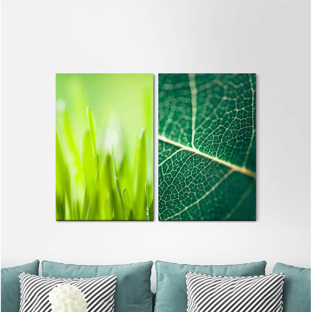 2-tlg. Leinwandbilder-Set - Fotografie „Grass Blades of Grass Green Leaf Plant”