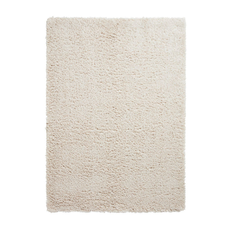Alvery area rug Machine Woven Rectangle Ivory, Rectangle 120 x 170cm