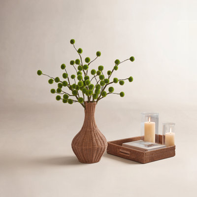 Hanging Moss Ball Stems