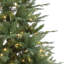 Sapin de Fraser Jasper Elite avec DEL
