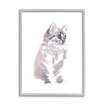 " Grey Shorthair Kitten Portrait Minimal Pet Cat "