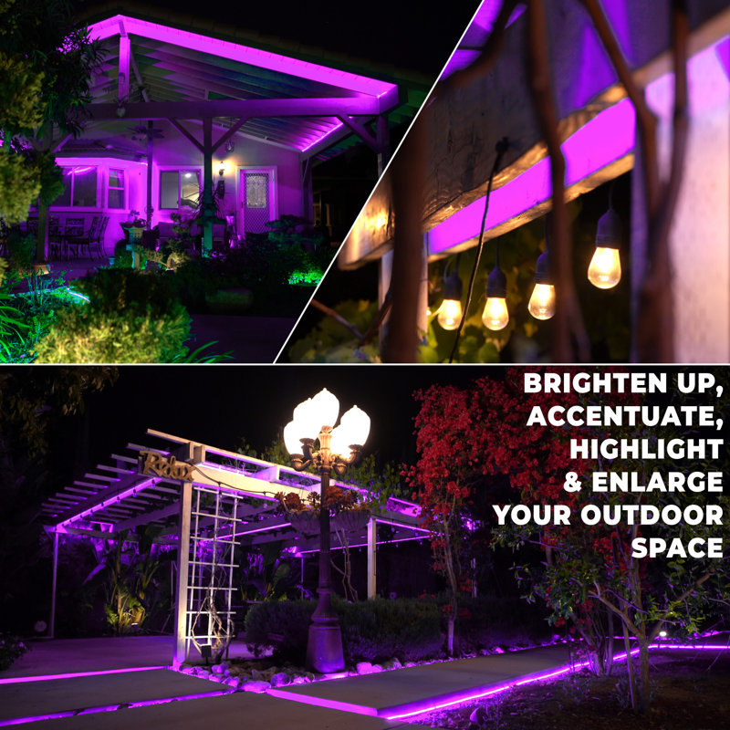 Cordon lumineux à DEL avec mode 8, L 3600 po, Mauve