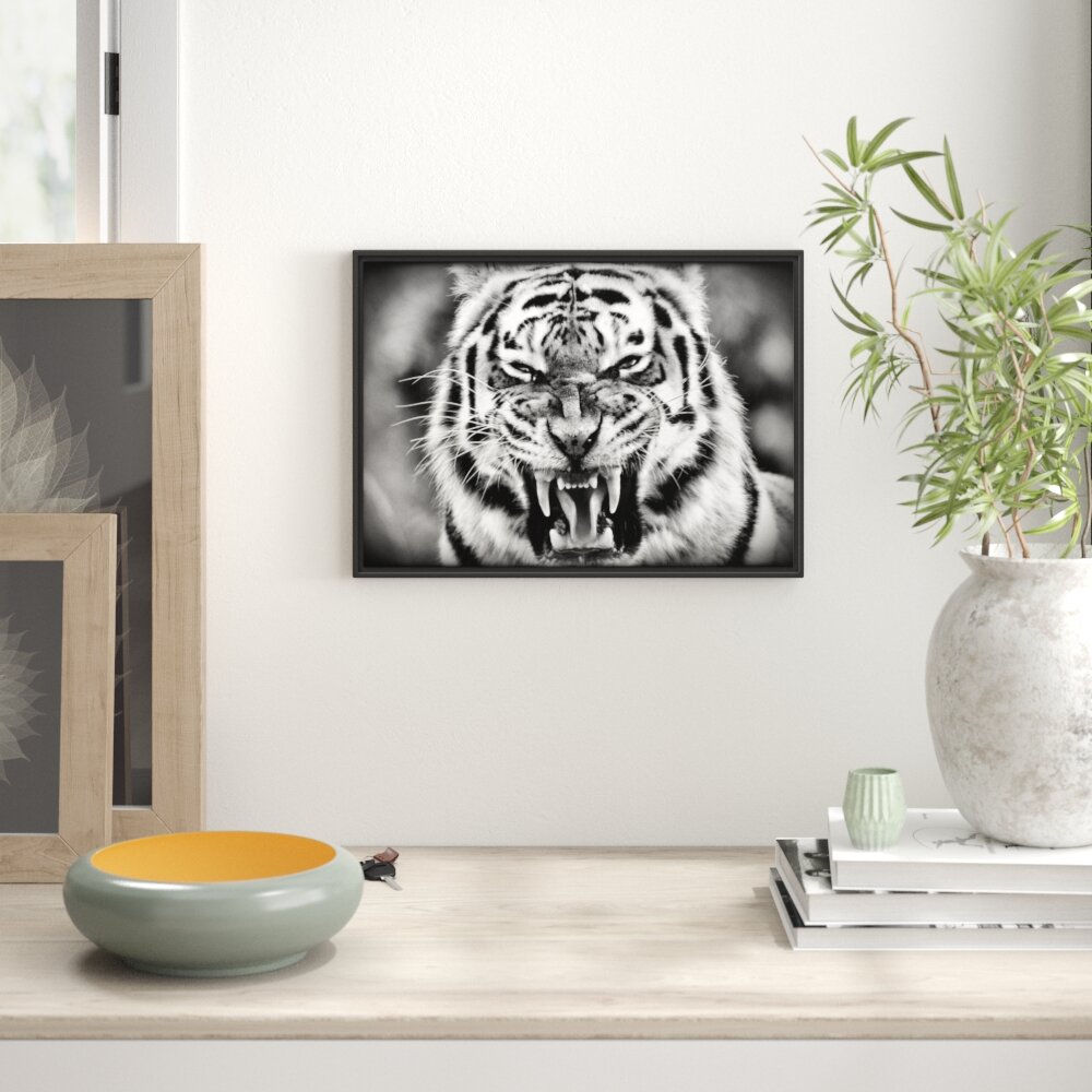 Gerahmtes Wandbild aggressiver Tiger