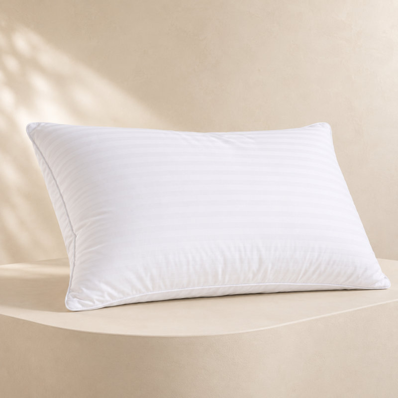 Ensemble de 1 oreiller en duvet avec housse 100% coton Continental Bedding Affinity, 1, Grand lit