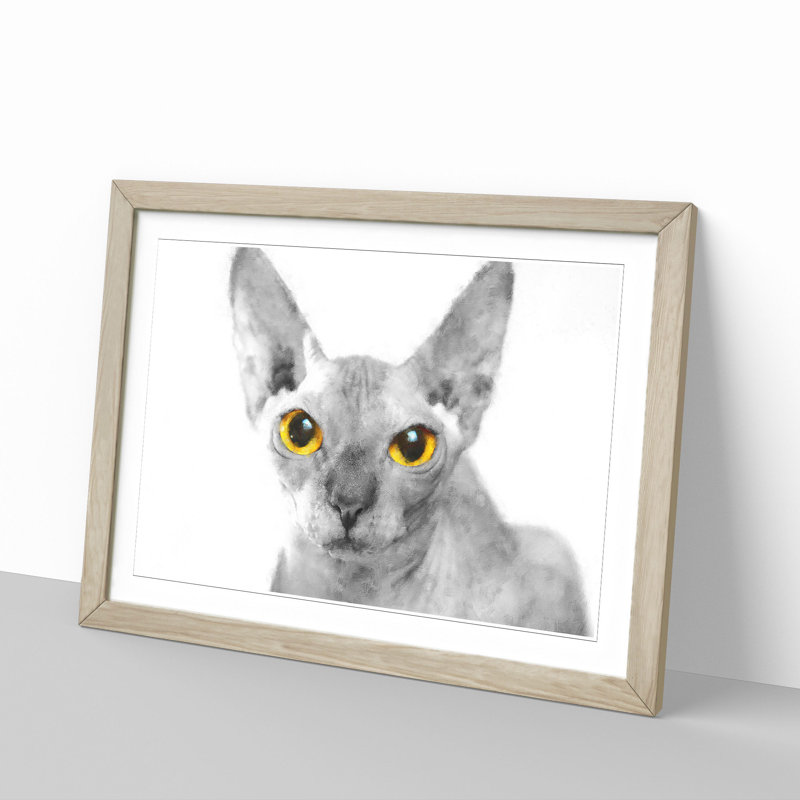 Sphynx Cat with Amber Eyes - Picture Frame Painting Print, Oak Framed, 62cm H x 87cm W x 2cm D