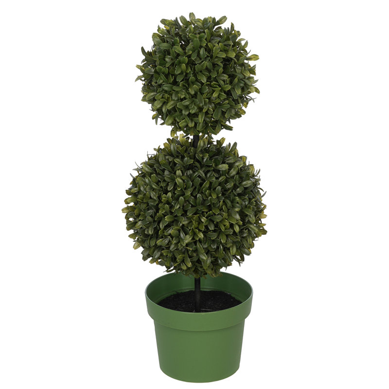 19 " H Faux Boxwood Topiary in Plastic Nursery Pot